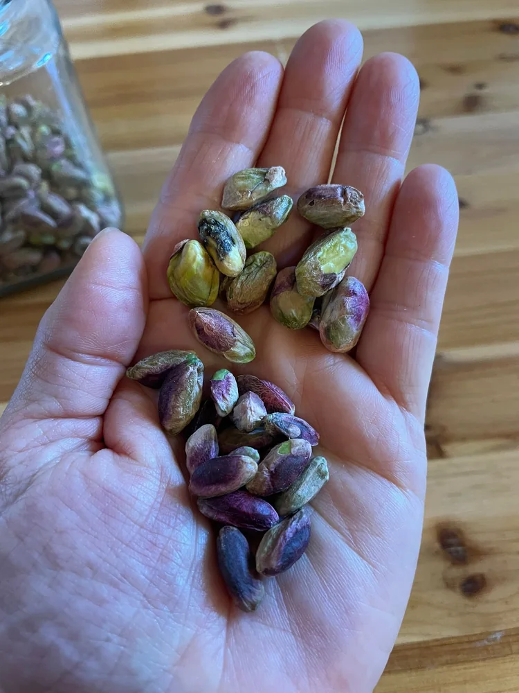 Sicilian pistachios for Immunity Kitchen cooking